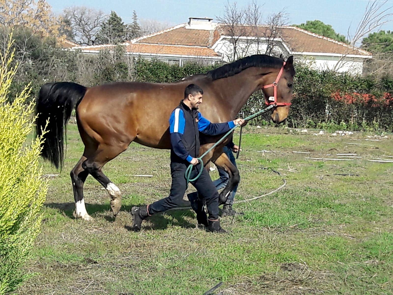 BİNİCİLİK EĞİTİMİ