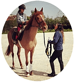 BİNİCİLİK EĞİTİMİ