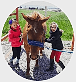 BİNİCİLİK EĞİTİMİ